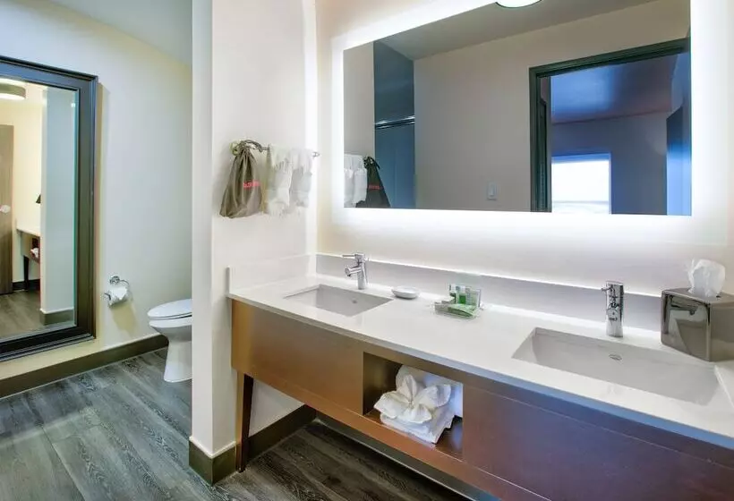 اتاق استاندارد, Holiday Inn Dallas   Fort Worth Airport South, An Ihg