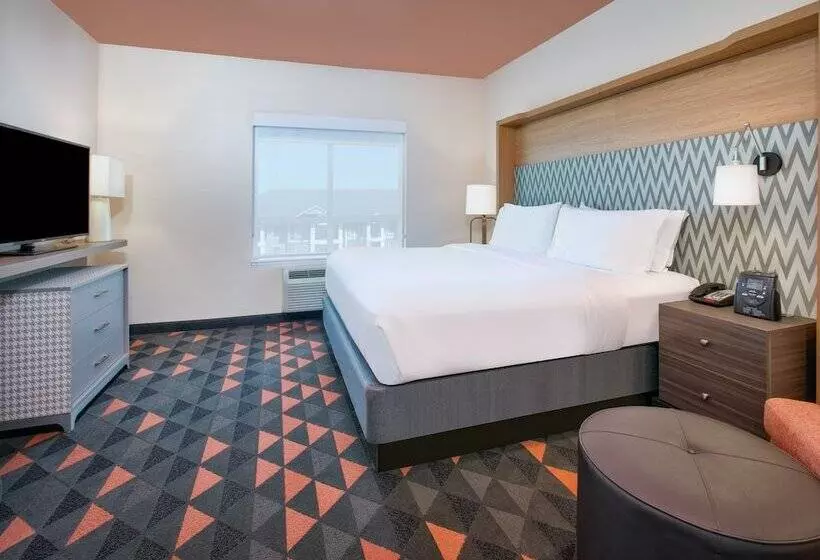 اتاق استاندارد, Holiday Inn Dallas   Fort Worth Airport South, An Ihg