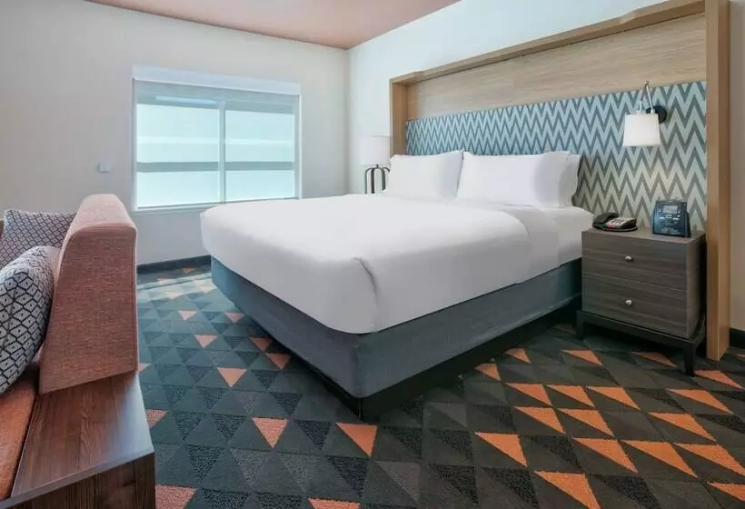 اتاق استاندارد, Holiday Inn Dallas   Fort Worth Airport South, An Ihg