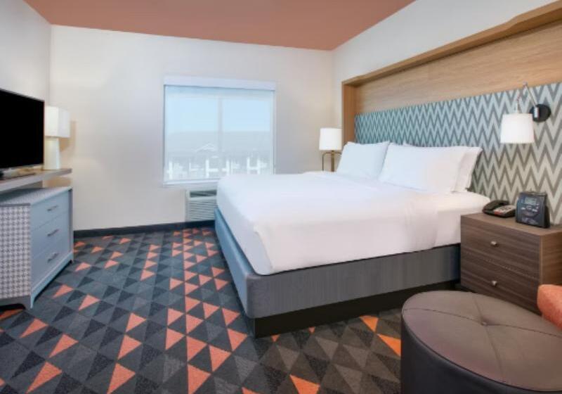 带大床的套房, Holiday Inn Dallas   Fort Worth Airport South, An Ihg
