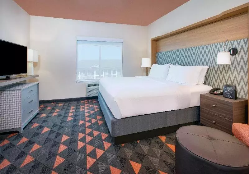 اتاق استاندارد با تخت بزرگ, Holiday Inn Dallas   Fort Worth Airport South, An Ihg