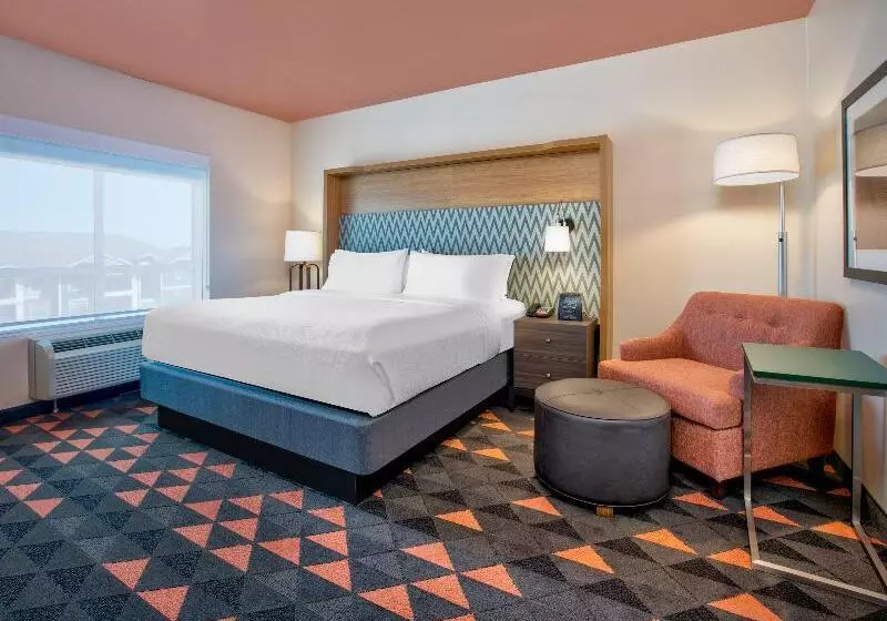 اتاق استاندارد با تخت بزرگ, Holiday Inn Dallas   Fort Worth Airport South, An Ihg