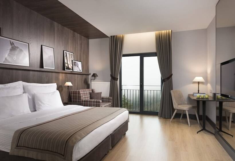اتاق اکونومی, Jura Hotels Ilgaz Mountain Resort