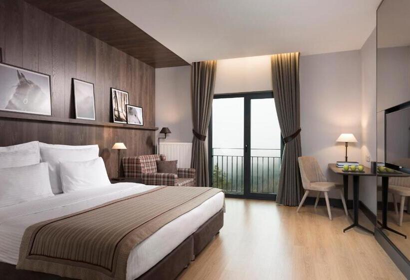 سوئیت جونیور با چشم‌انداز کوهستان, Jura Hotels Ilgaz Mountain Resort