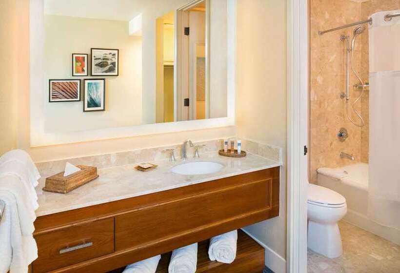 带大床的高级房间, Hilton Richmond Hotel & Spa/short Pump