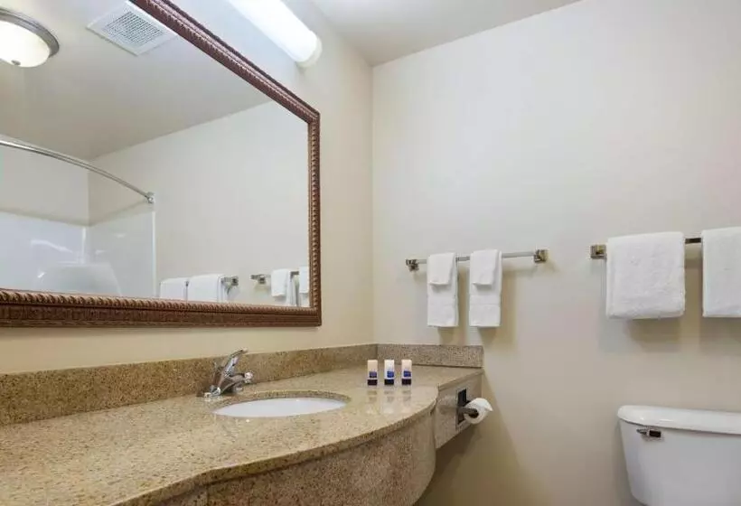 Standard-huone King-vuode, Best Western Legacy Inn & Suites Beloit/south Beloit