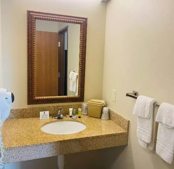 Sviitti Liikuntarajoitteisille, Best Western Legacy Inn & Suites Beloit/south Beloit