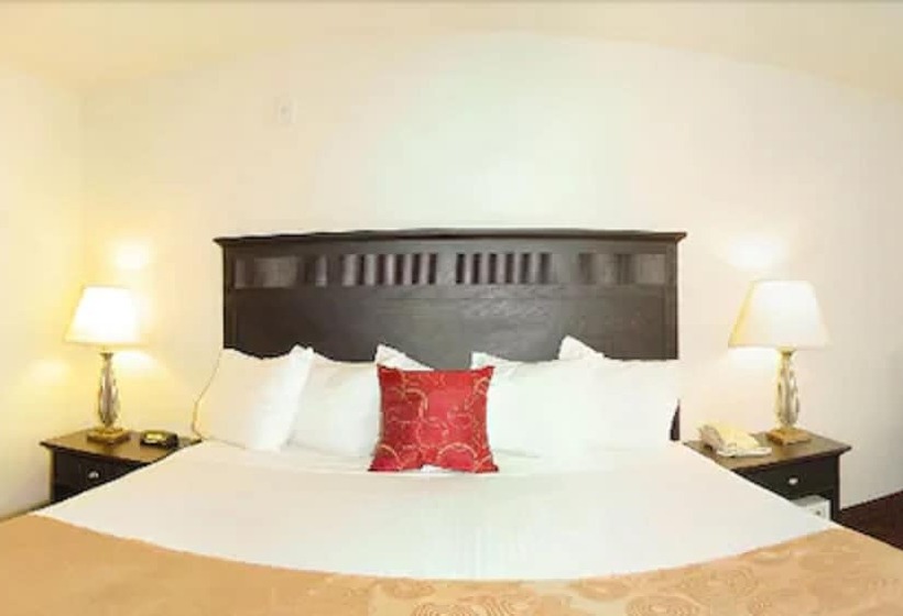 身障者適用スイートルーム, Best Western Legacy Inn & Suites Beloit/south Beloit