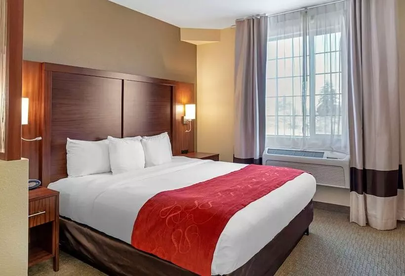 スイート, Comfort Suites Eugene