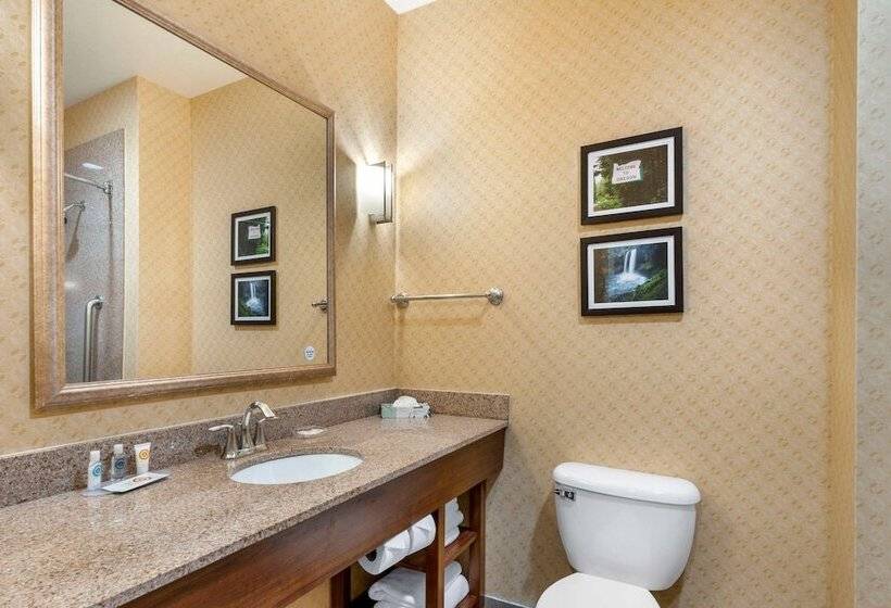 Люкс, Comfort Suites Eugene