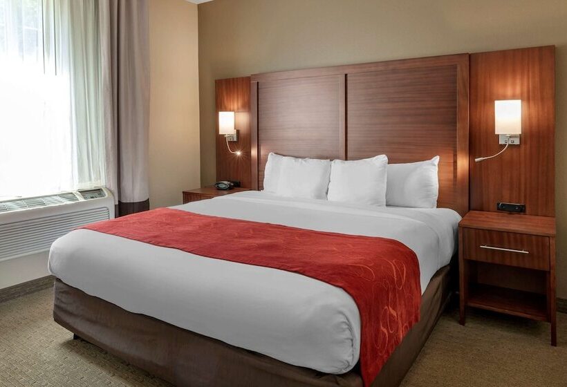 Люкс Вид на Горы, Comfort Suites Eugene