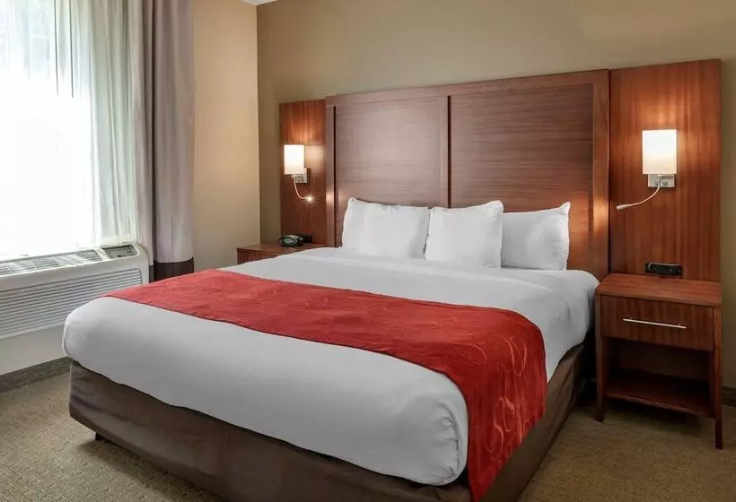 マウンテンビュースイート, Comfort Suites Eugene