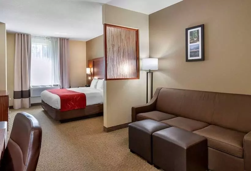 マウンテンビュースイート, Comfort Suites Eugene