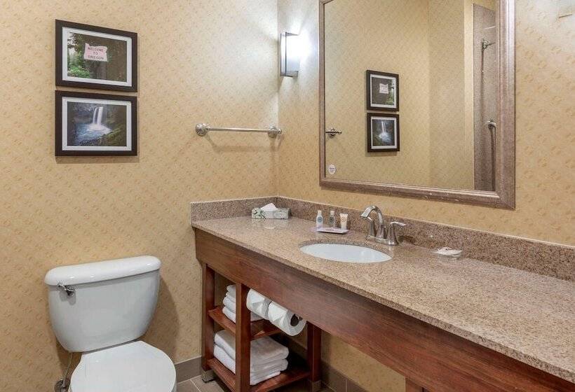 산 전망 스위트, Comfort Suites Eugene