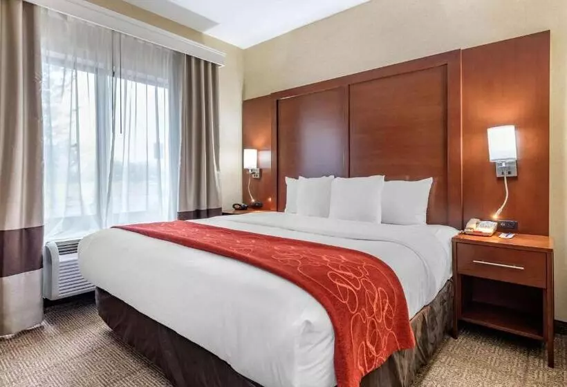 キングサイズベッドのスタンダードルーム, Comfort Suites South