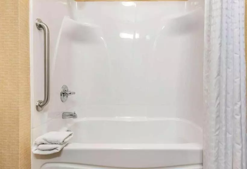 キングサイズベッドのスタンダードルーム, Comfort Suites South