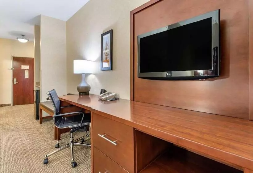 キングサイズベッドのスタンダードルーム, Comfort Suites South