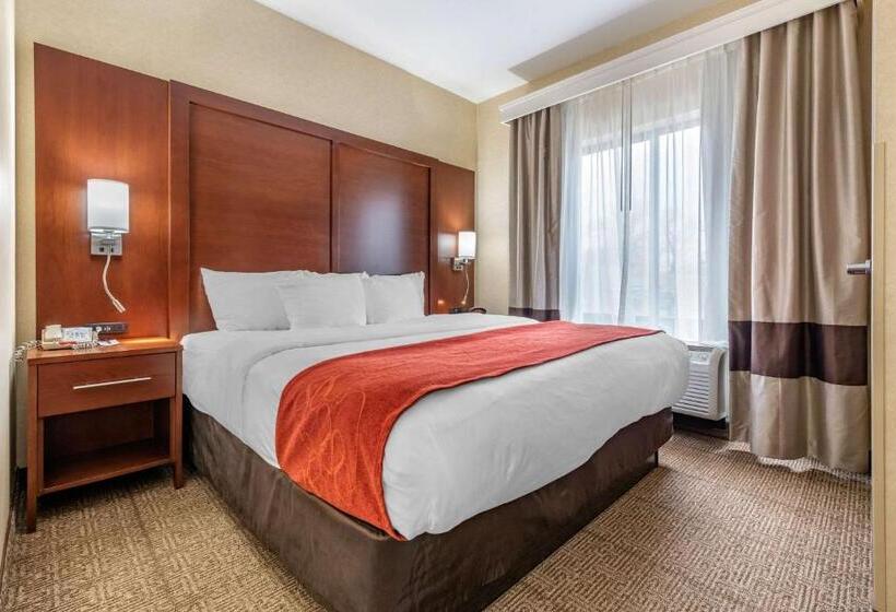 Standardzimmer Kingsize Bett, Comfort Suites South