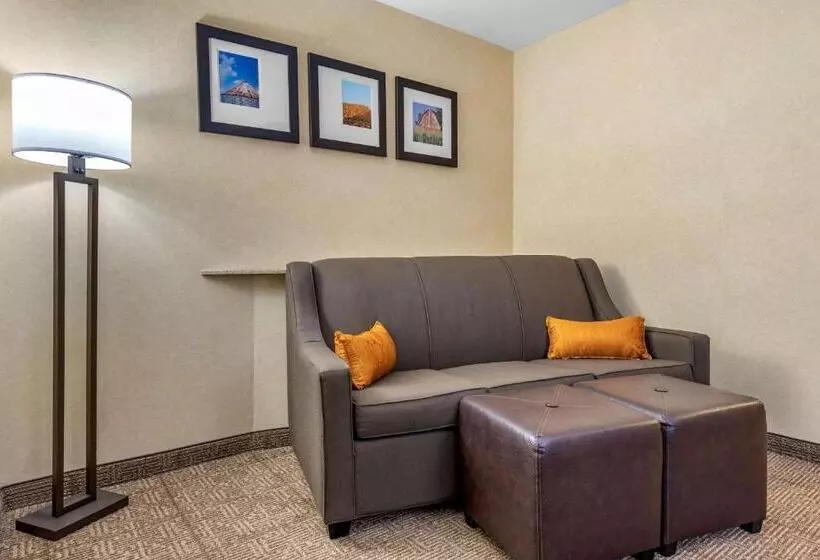 スタンダードルーム, Comfort Suites South
