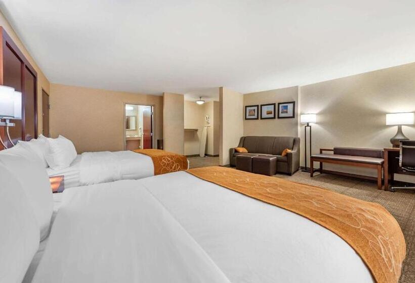 スタンダードルーム, Comfort Suites South