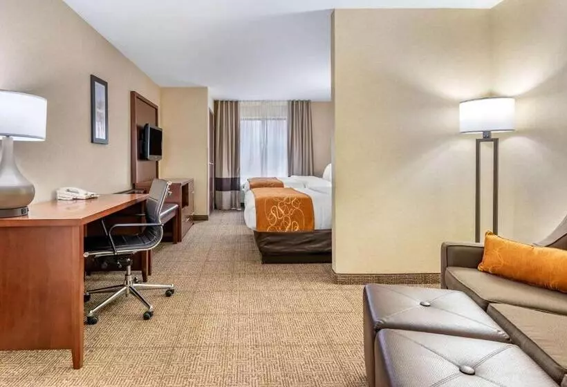 スタンダードルーム, Comfort Suites South