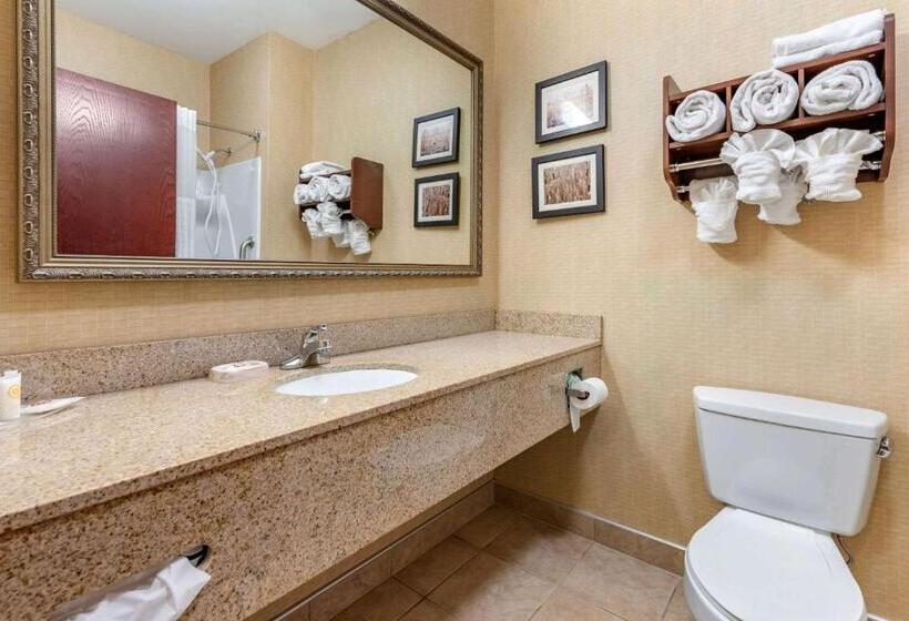 Standardzimmer, Comfort Suites South