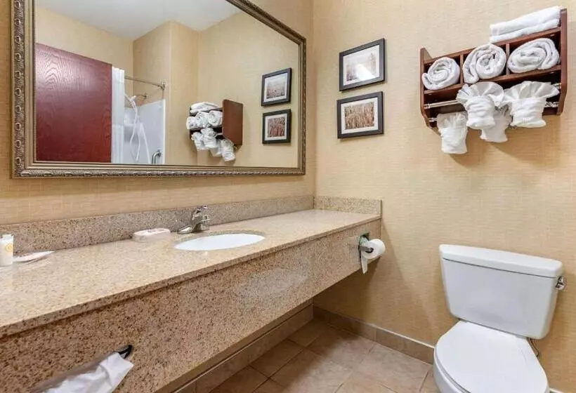 スタンダードルーム, Comfort Suites South