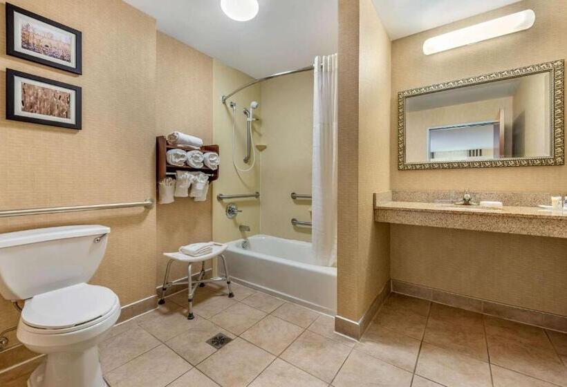 身障者適用スイートルーム, Comfort Suites South