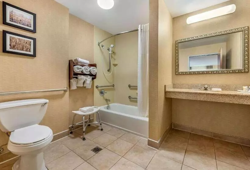 身障者適用スイートルーム, Comfort Suites South
