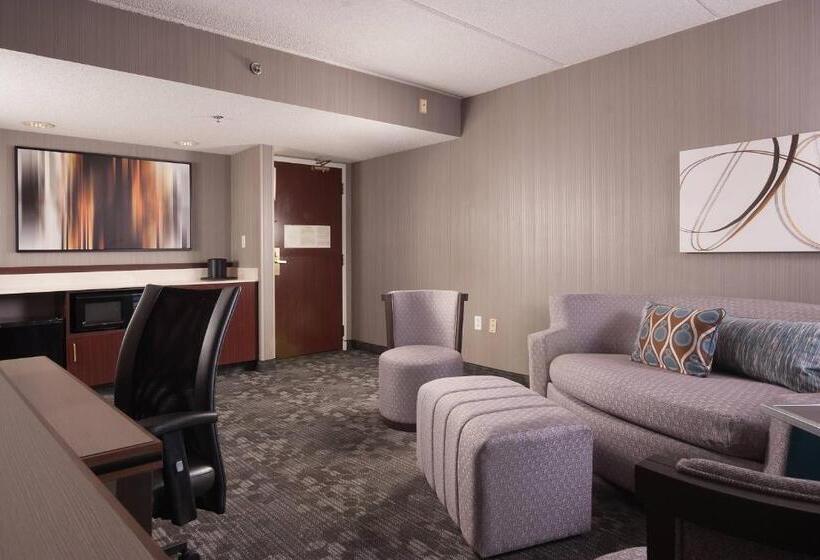 스위트 킹사이즈 침대, Courtyard Greenville Spartanburg Airport
