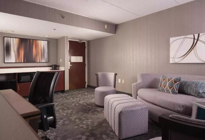 سوئیت با تخت بزرگ, Courtyard Greenville Spartanburg Airport