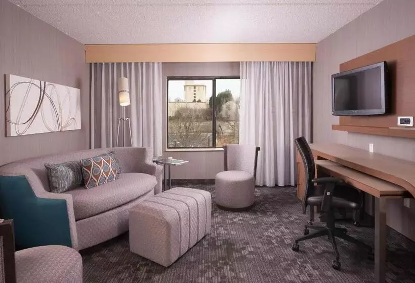 سوئیت با تخت بزرگ, Courtyard Greenville Spartanburg Airport