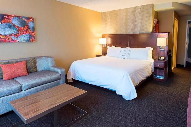 キングサイズベッドのスタンダードルーム, Courtyard Marriott Lake Placid