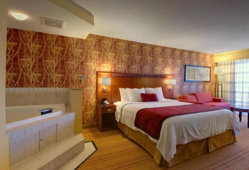 Стандартный Номер Кровать Кинг, Courtyard By Marriott Madison East