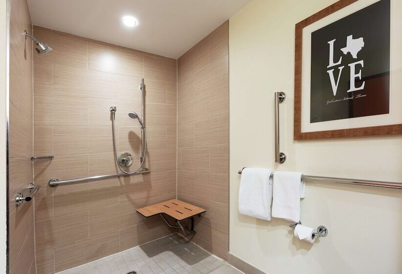 장애인을 위한 스탠다드 룸, Doubletree By Hilton Hotel Galveston Beach