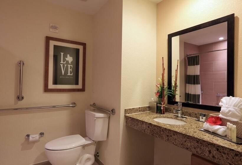 장애인을 위한 스탠다드 룸, Doubletree By Hilton Hotel Galveston Beach
