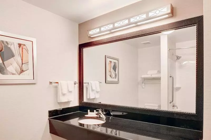 キングサイズベッドのスタンダードルーム, Fairfield Inn & Suites Cartersville