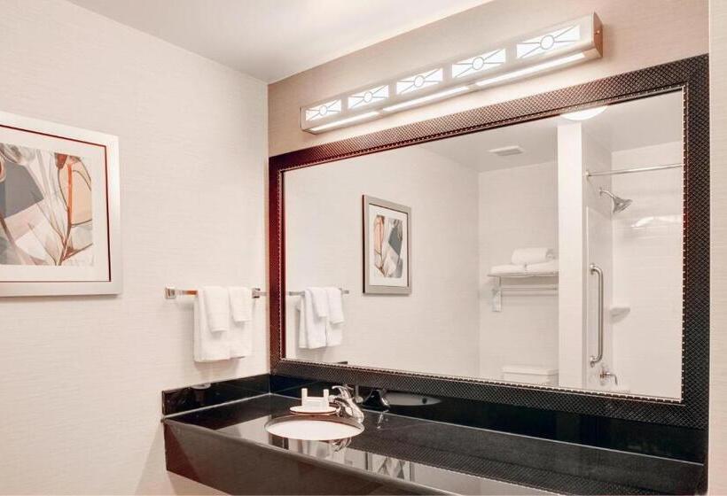 غرفة قياسية سرير كينج, Fairfield Inn & Suites Cartersville