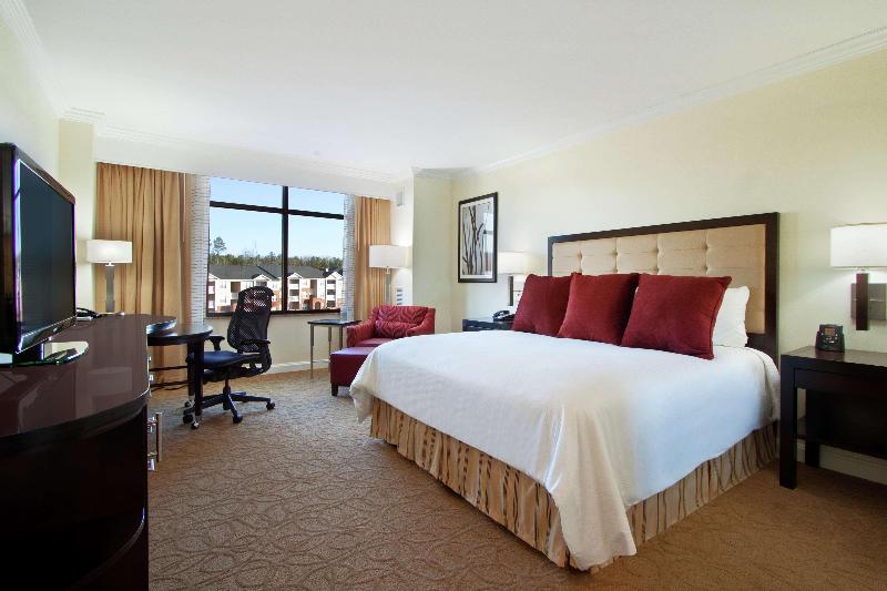 스탠다드 룸 킹사이즈 침대, Hilton Richmond Hotel & Spa/short Pump