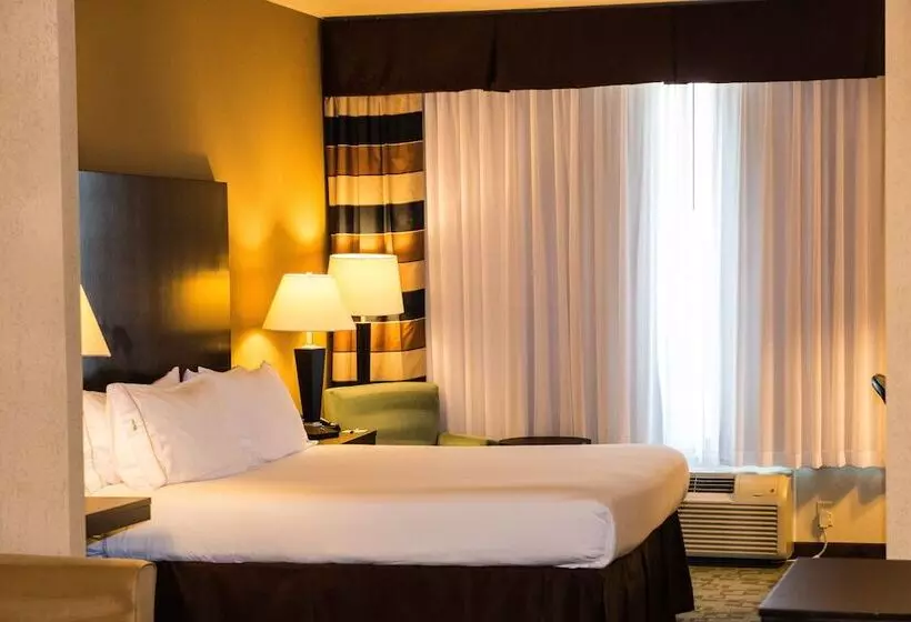 スイート, Holiday Inn Express & Suites Houston Nw/beltway 8 West Road By Ihg