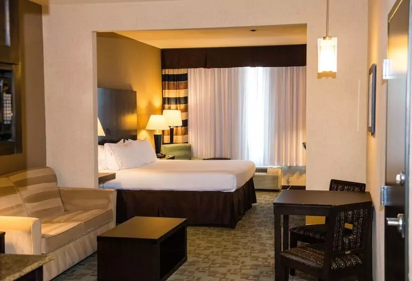 スイート, Holiday Inn Express & Suites Houston Nw/beltway 8 West Road By Ihg