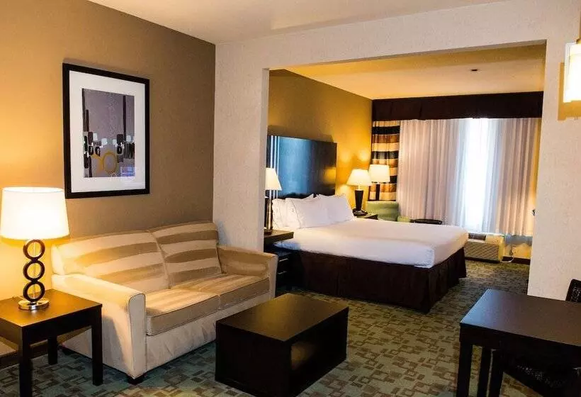 スイート, Holiday Inn Express & Suites Houston Nw/beltway 8 West Road By Ihg