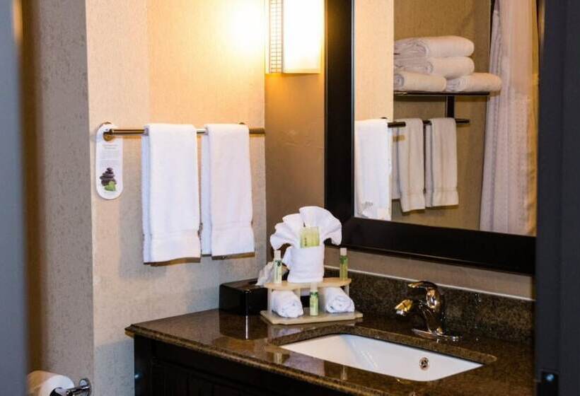 חדר סטנדרט, Holiday Inn Express & Suites Houston Nw/beltway 8 West Road By Ihg