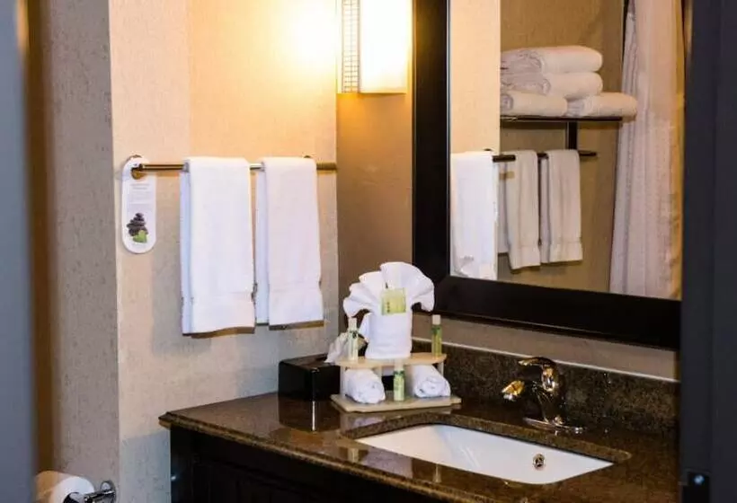スタンダードルーム, Holiday Inn Express & Suites Houston Nw/beltway 8 West Road By Ihg