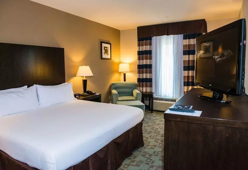 スタンダードルーム, Holiday Inn Express & Suites Houston Nw/beltway 8 West Road By Ihg