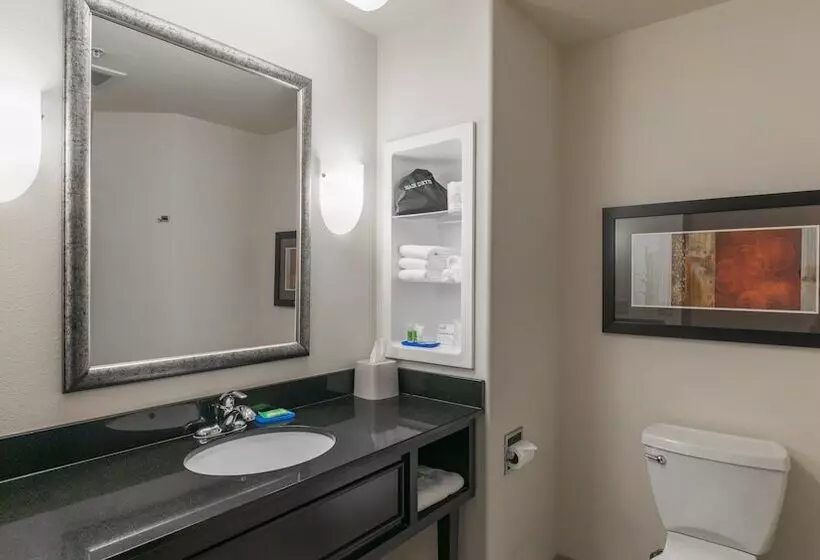 スタンダードルーム, Holiday Inn Express & Suites Oklahoma City Nw   Quail Springs, An Ihg