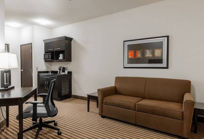 غرفة قياسية, Holiday Inn Express & Suites Oklahoma City Nw   Quail Springs, An Ihg