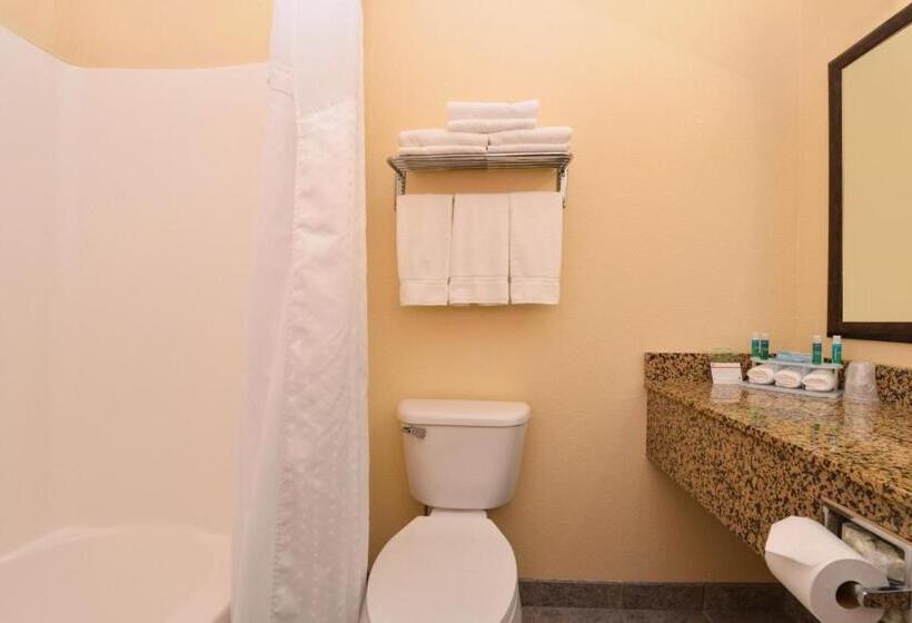 스탠다드 룸 킹사이즈 침대, Holiday Inn Express Morgantown, An Ihg