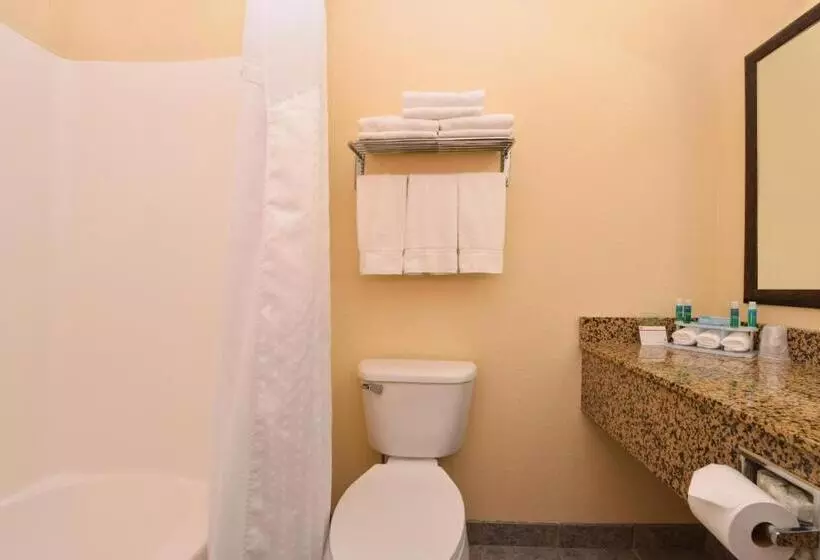 キングサイズベッドのスタンダードルーム, Holiday Inn Express Morgantown, An Ihg