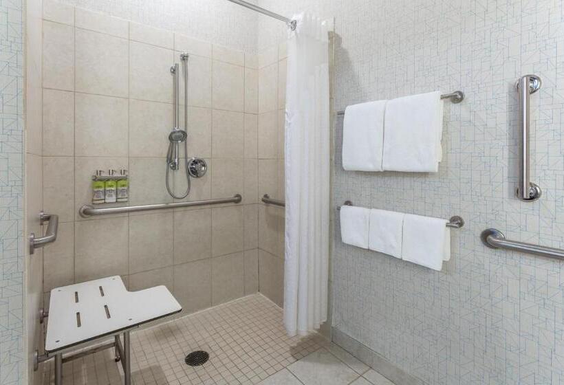 장애인을 위한 스탠다드 룸, Holiday Inn Express Rockford Loves Park, An Ihg